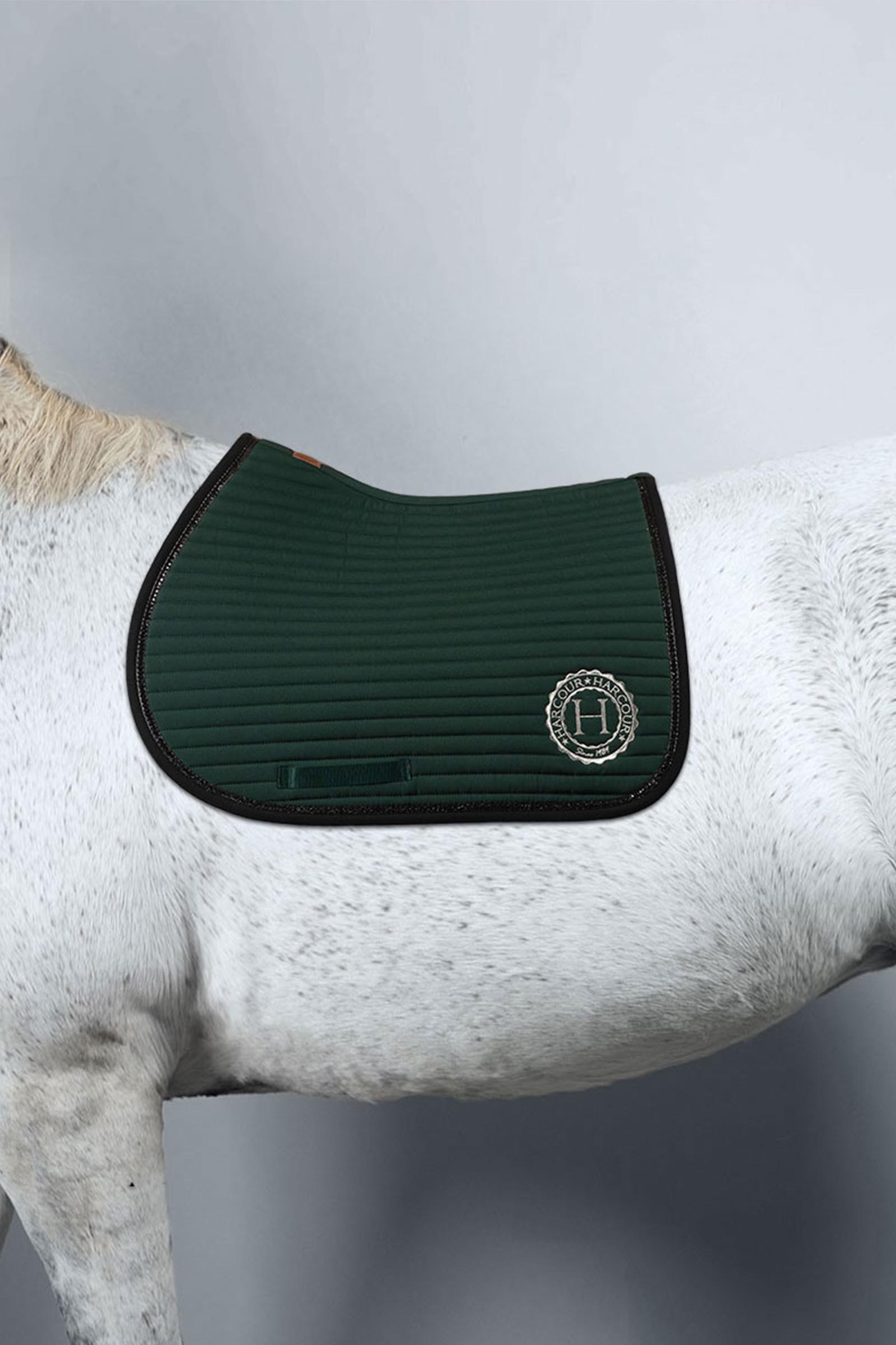 Harcour Karembar Saddle Pad Rider Pony