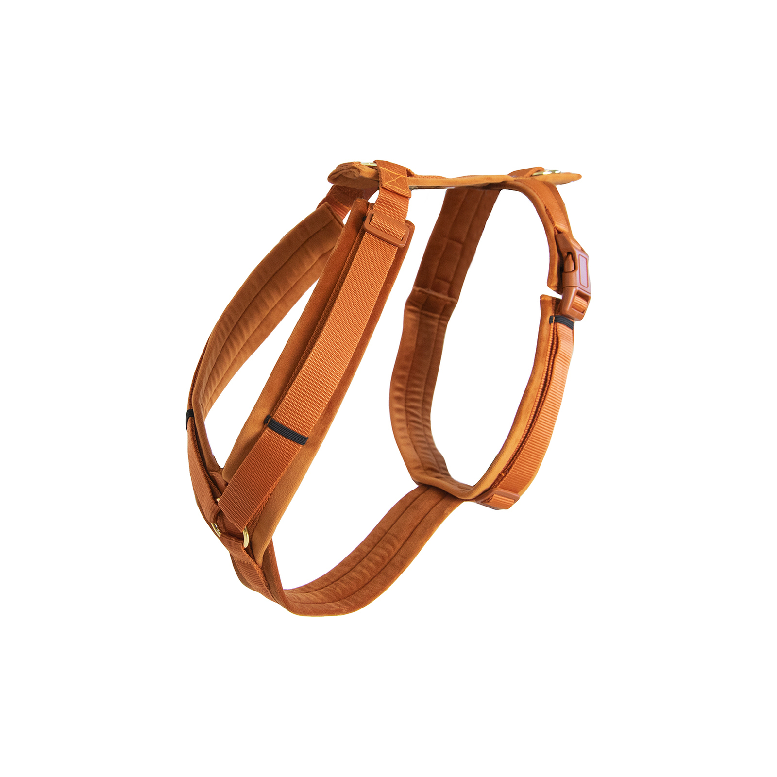OR/B Kentucky Dogwear Active Velvet Harness