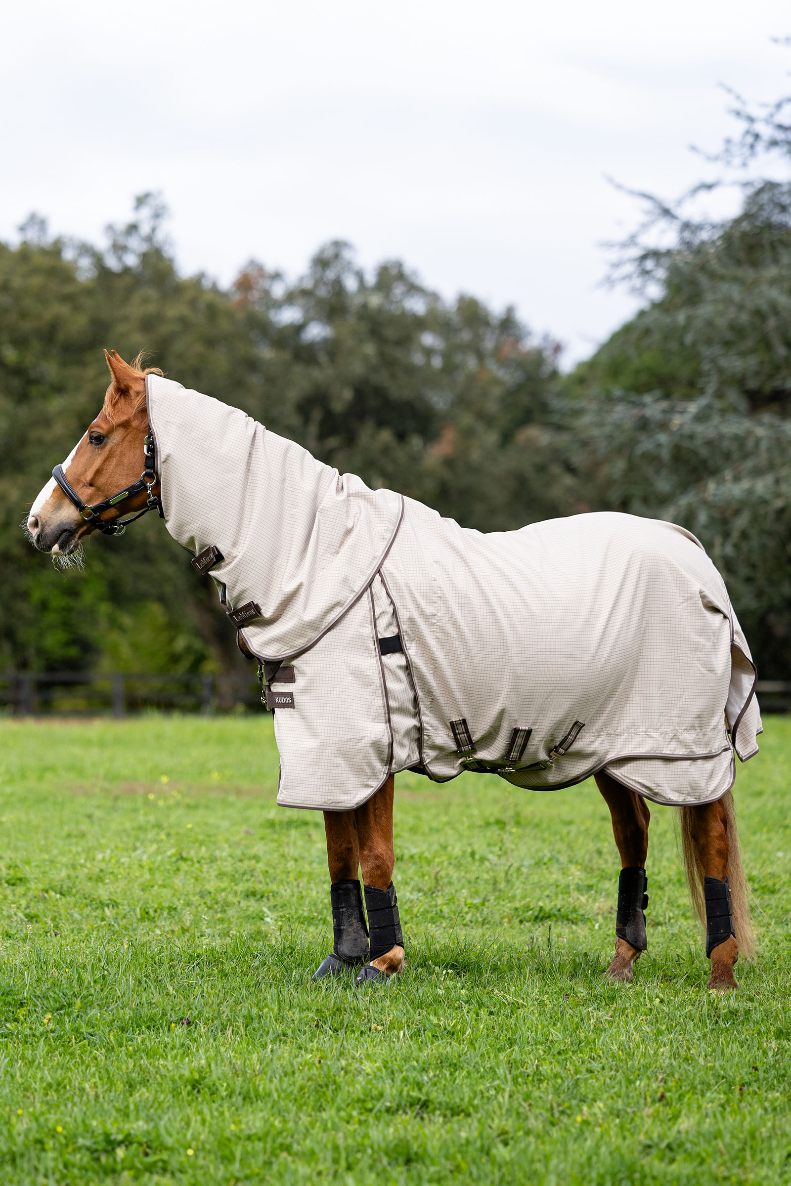 LeMieux Kudos Field Rug