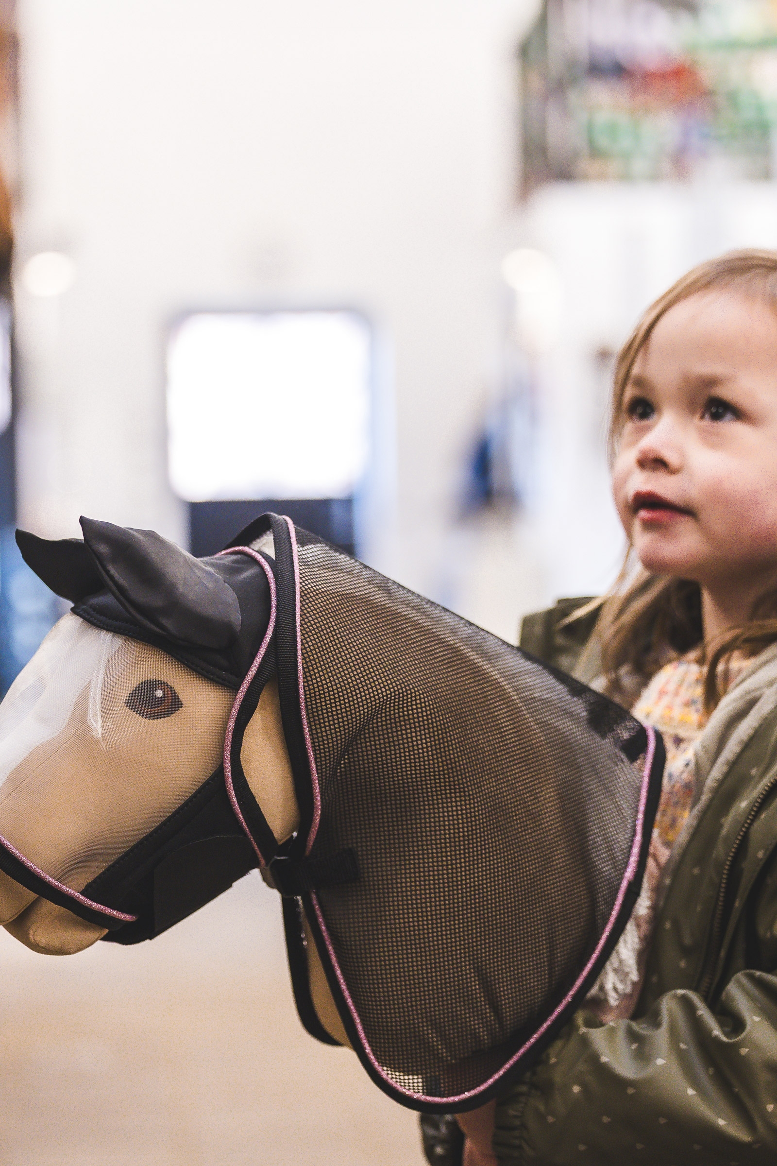 My Hobby Horse Insect Fly Rug