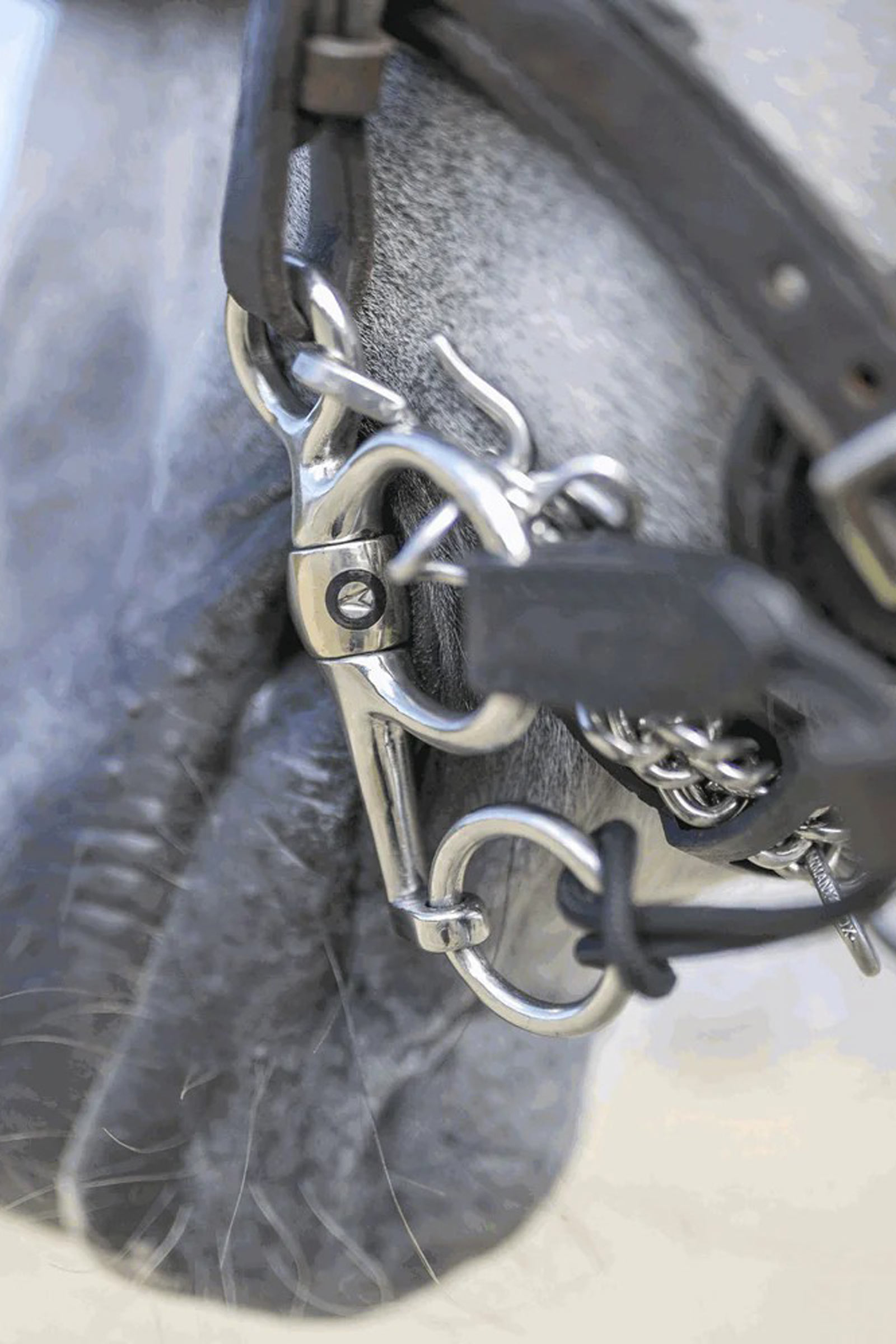 Sprenger Dynamic RS Pelham, Sensogan, double jointed, 16 mm