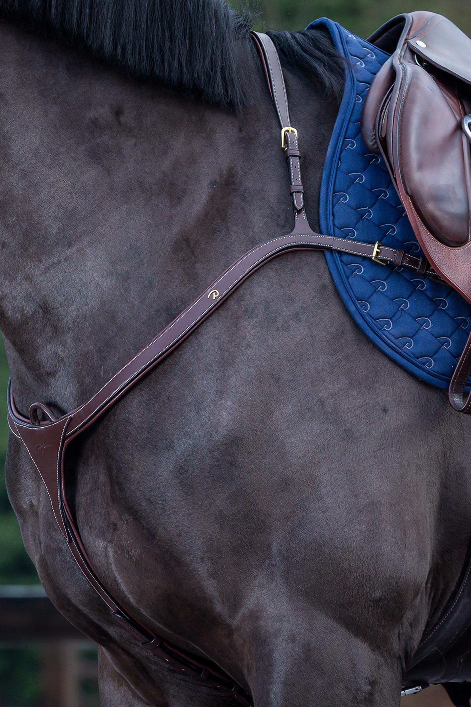 Brown Dy'on D Collection Long Bridge Breastplate 