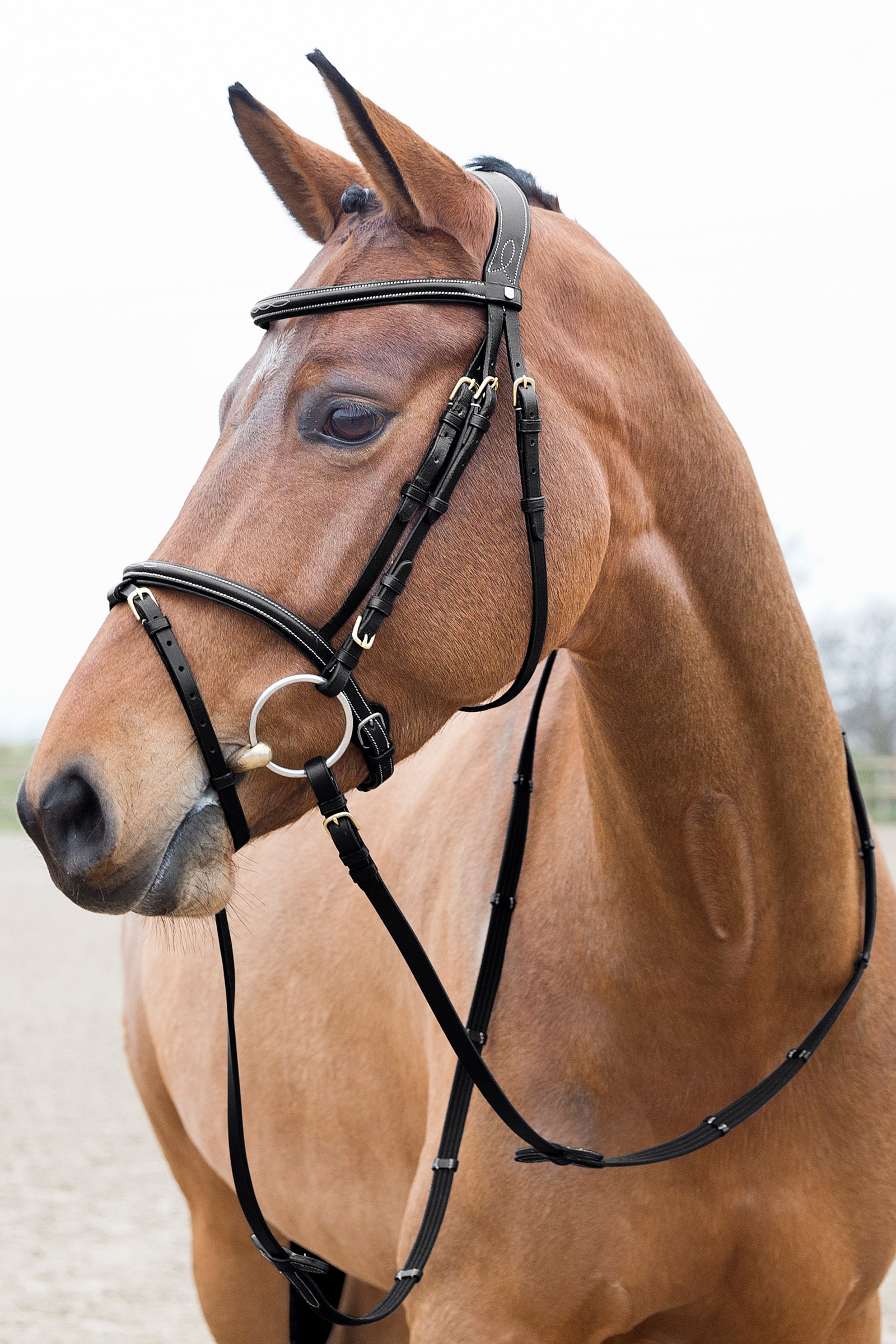 Horze Constance Padded Flash Bridle