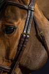 Dy'on D Collection Double Noseband Bridle 