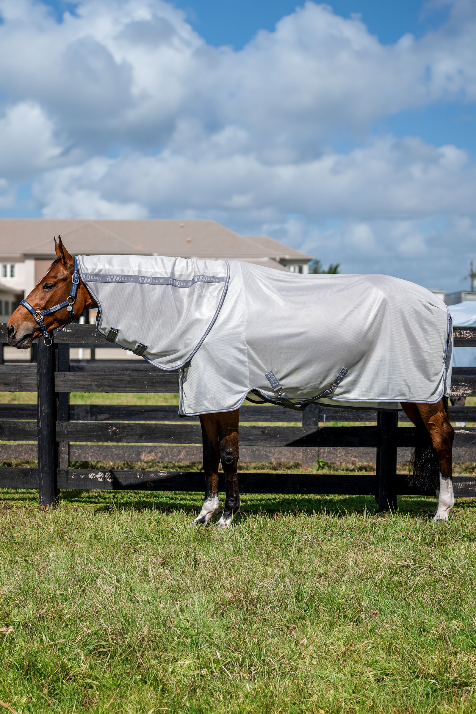 Horseware Amigo Bug Rug Plus