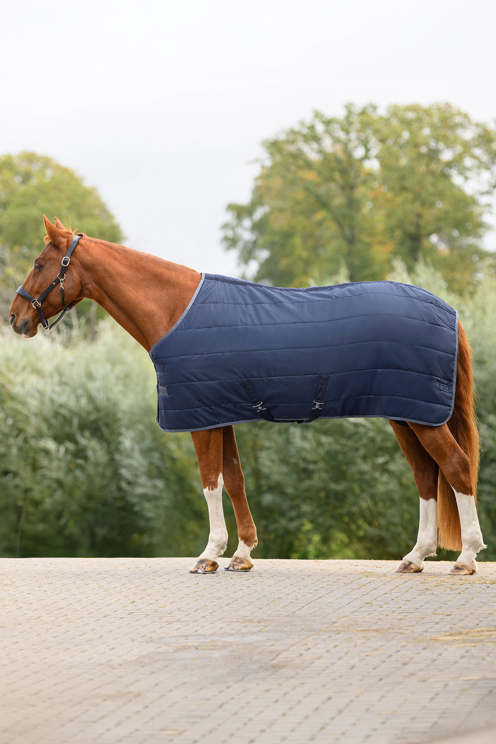 Night Blue Waldhausen ECONOMIC Stable Rug, 100g