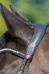 Kieffer Ultrasoft&reg; Sue Bridle