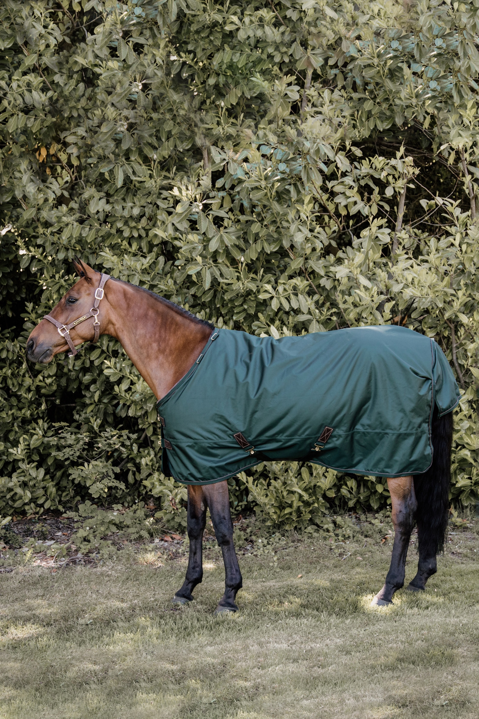 Kentucky Horsewear Turnout rug all weather waterproof pro 160g