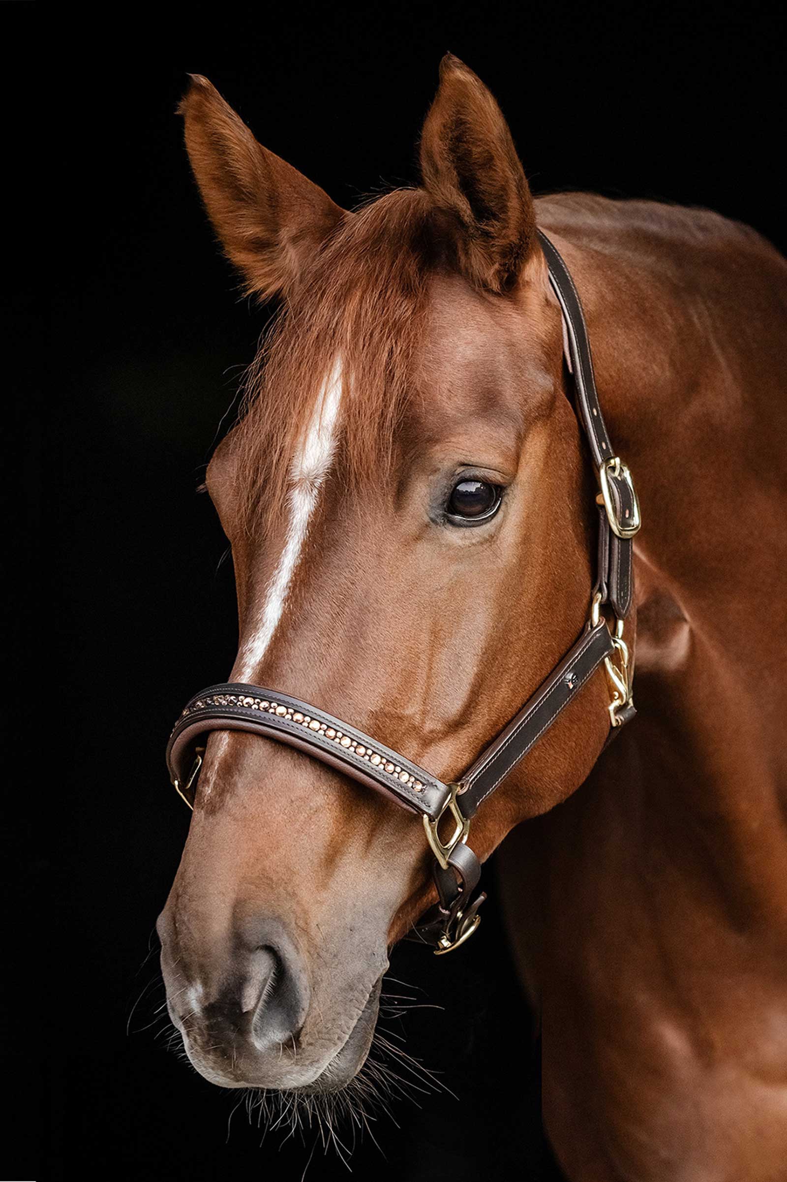 Waldhausen X-Line Leather halter Crystal