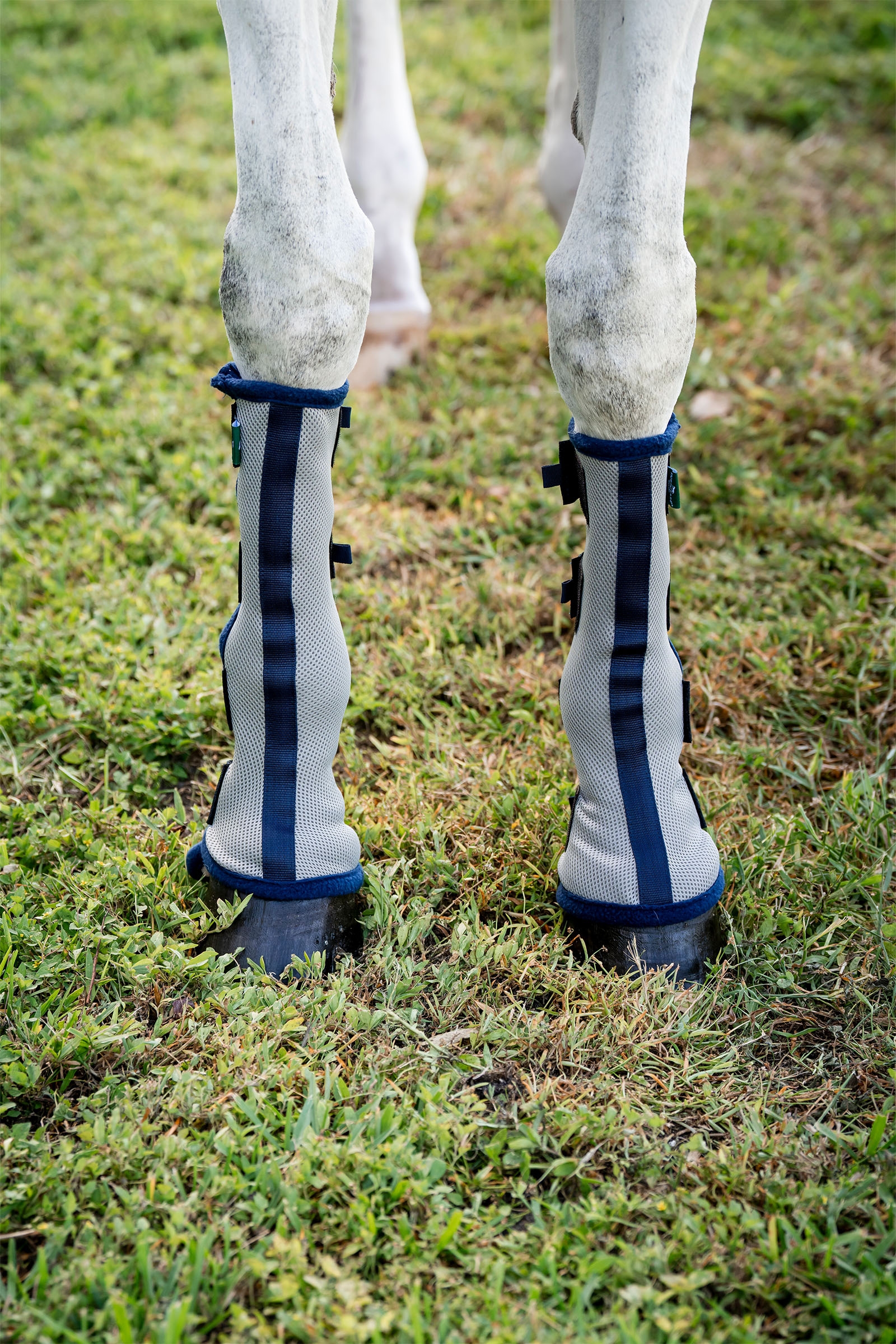Horseware Fly Boots - set of 2