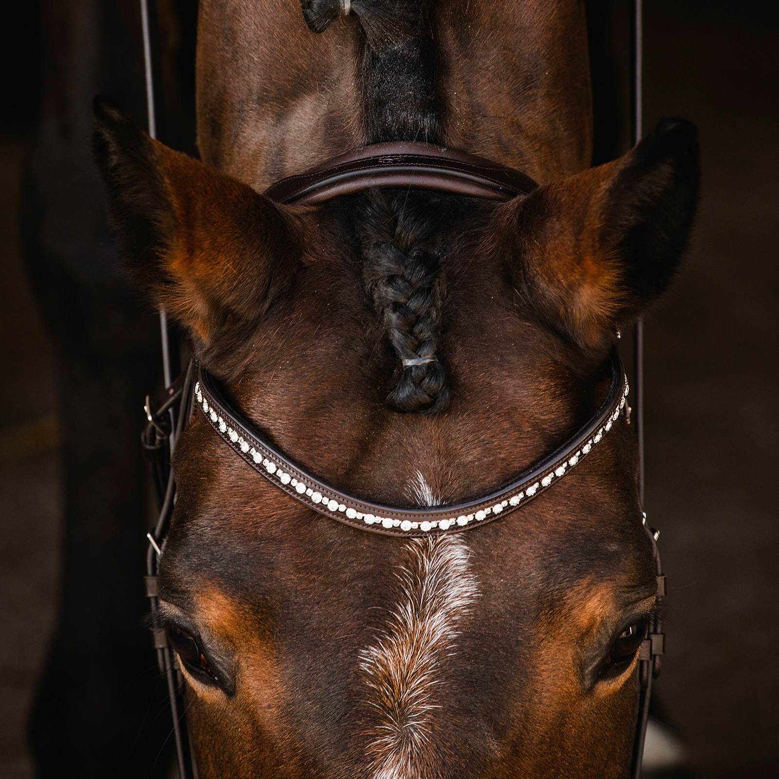 Schockem&ouml;hle Sports Brantford Bridle