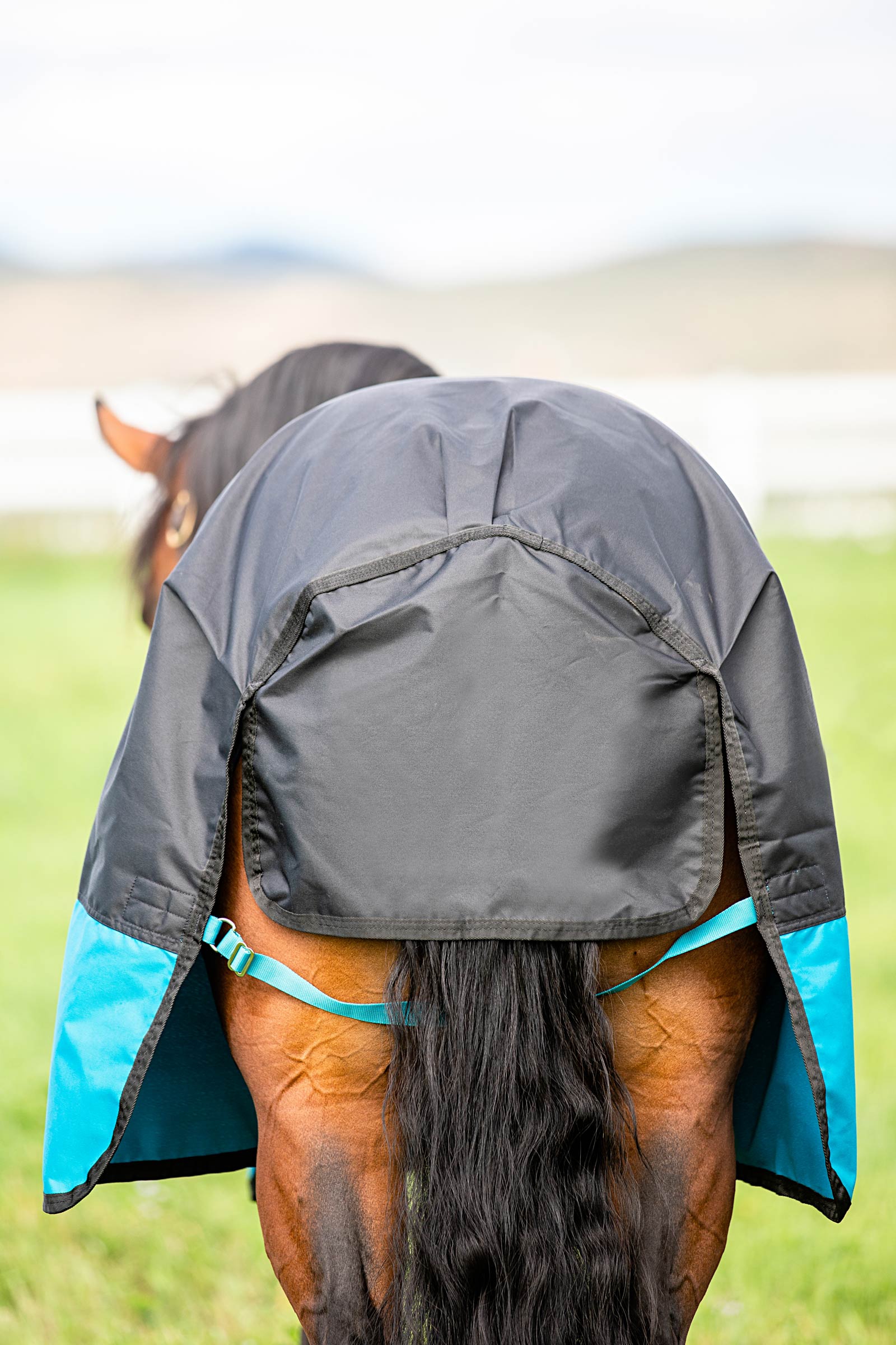 Horseware Mio Turnout Rug, 200g