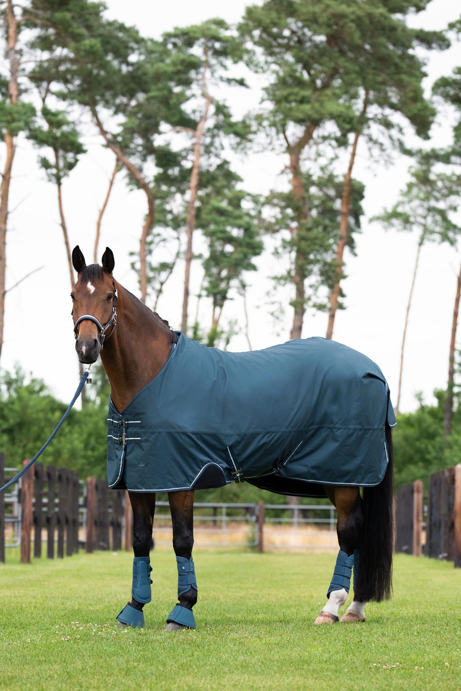 Eskadron Classic Sport SS26 Waterproof Light Turnout Rug, 0g
