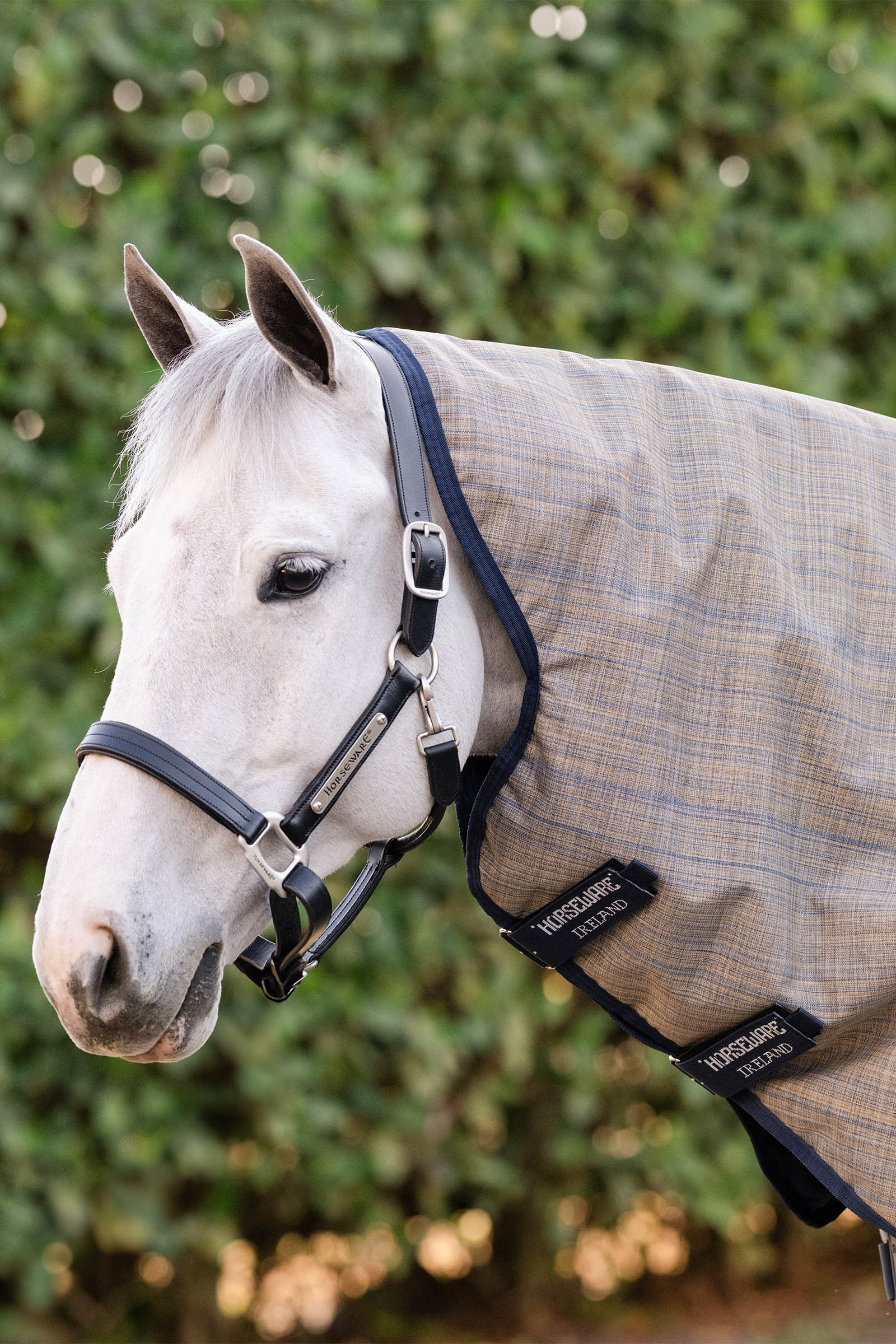 Horseware Amigo Hero 900 Revive Plus Turnout Rug With Detachable Neck, 200 g