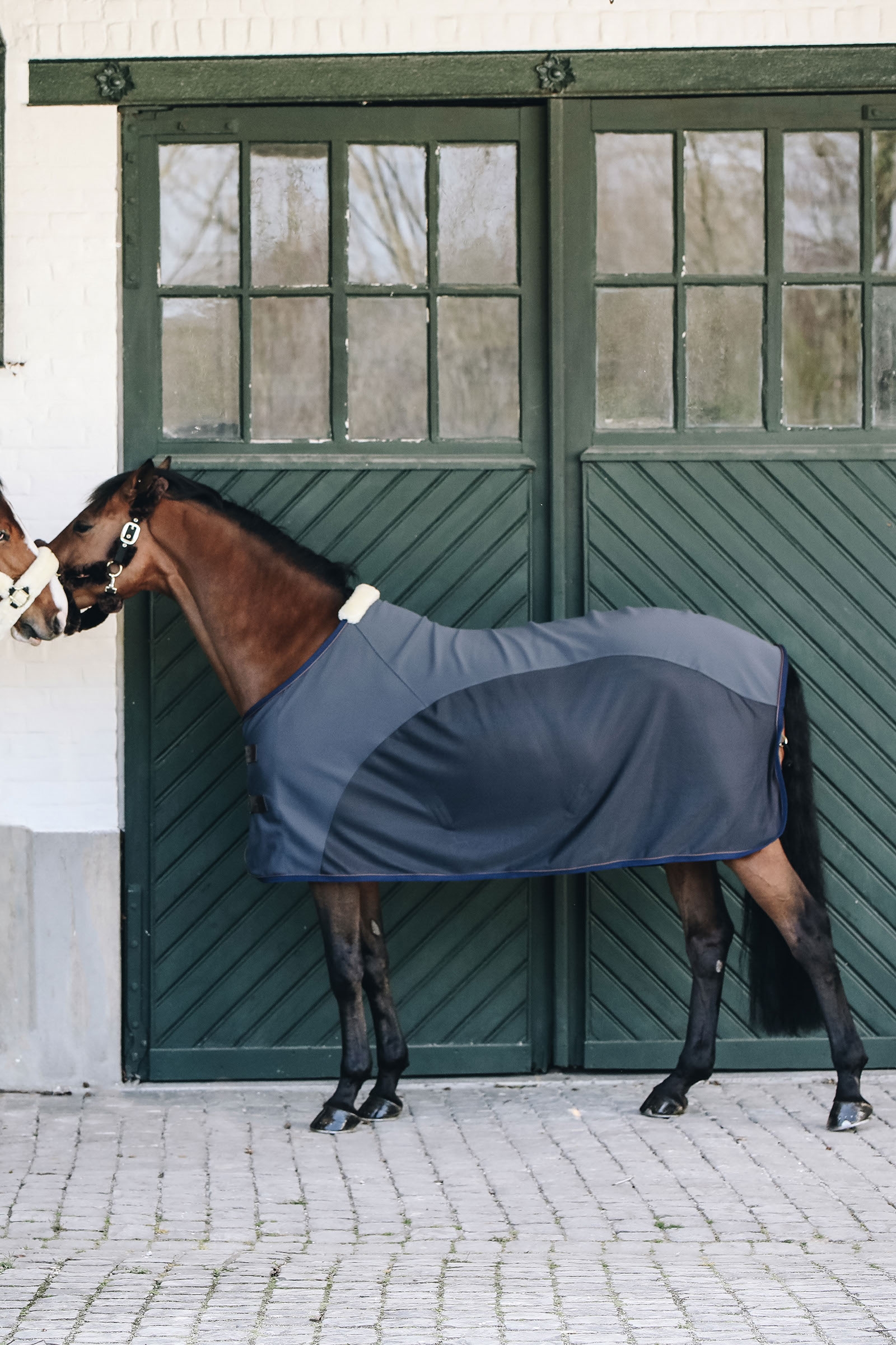 Kentucky Horsewear Softshell Cooler