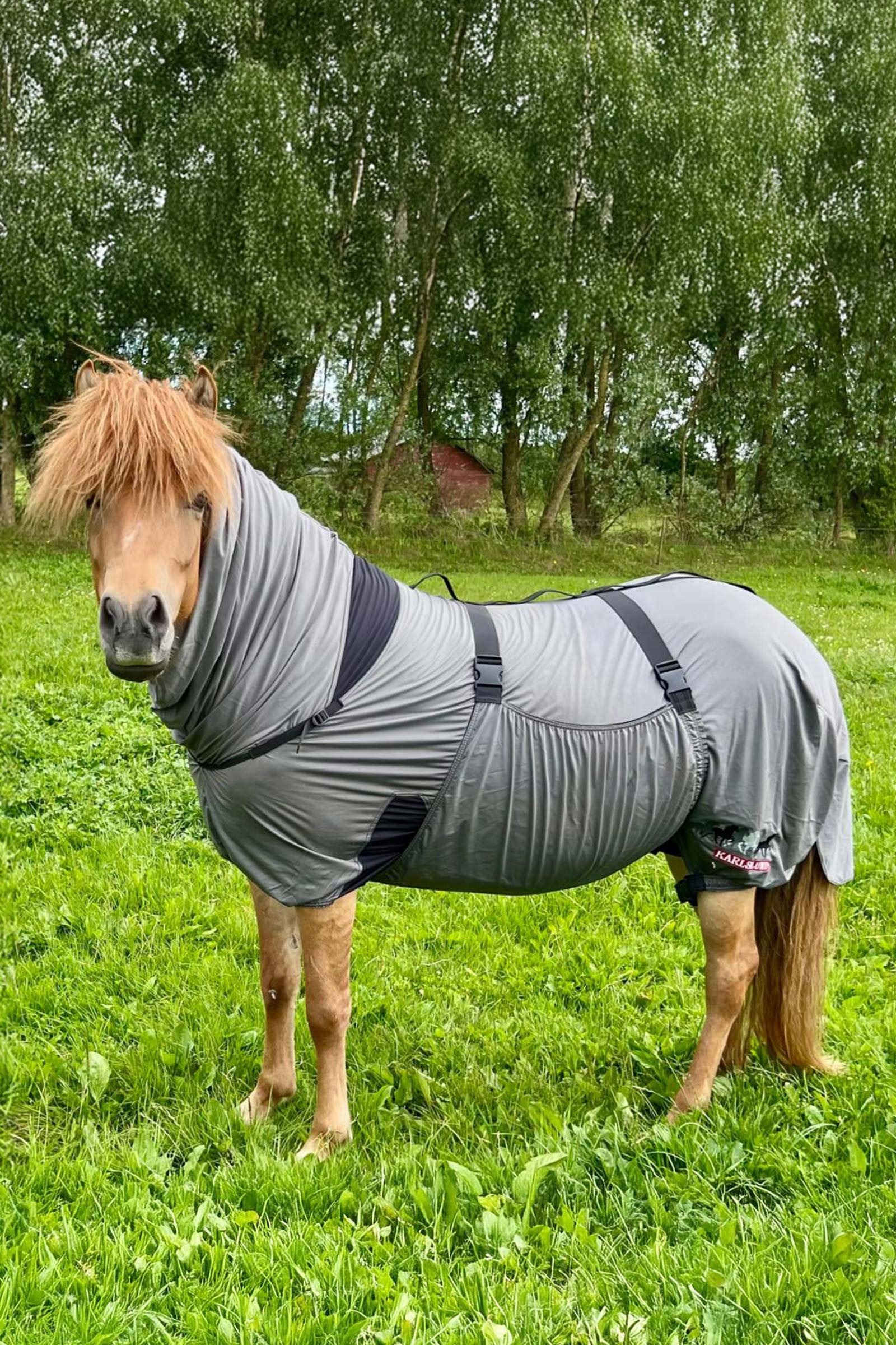 Karlslund Matti Eczema Rug with Fixed Neck, 0g