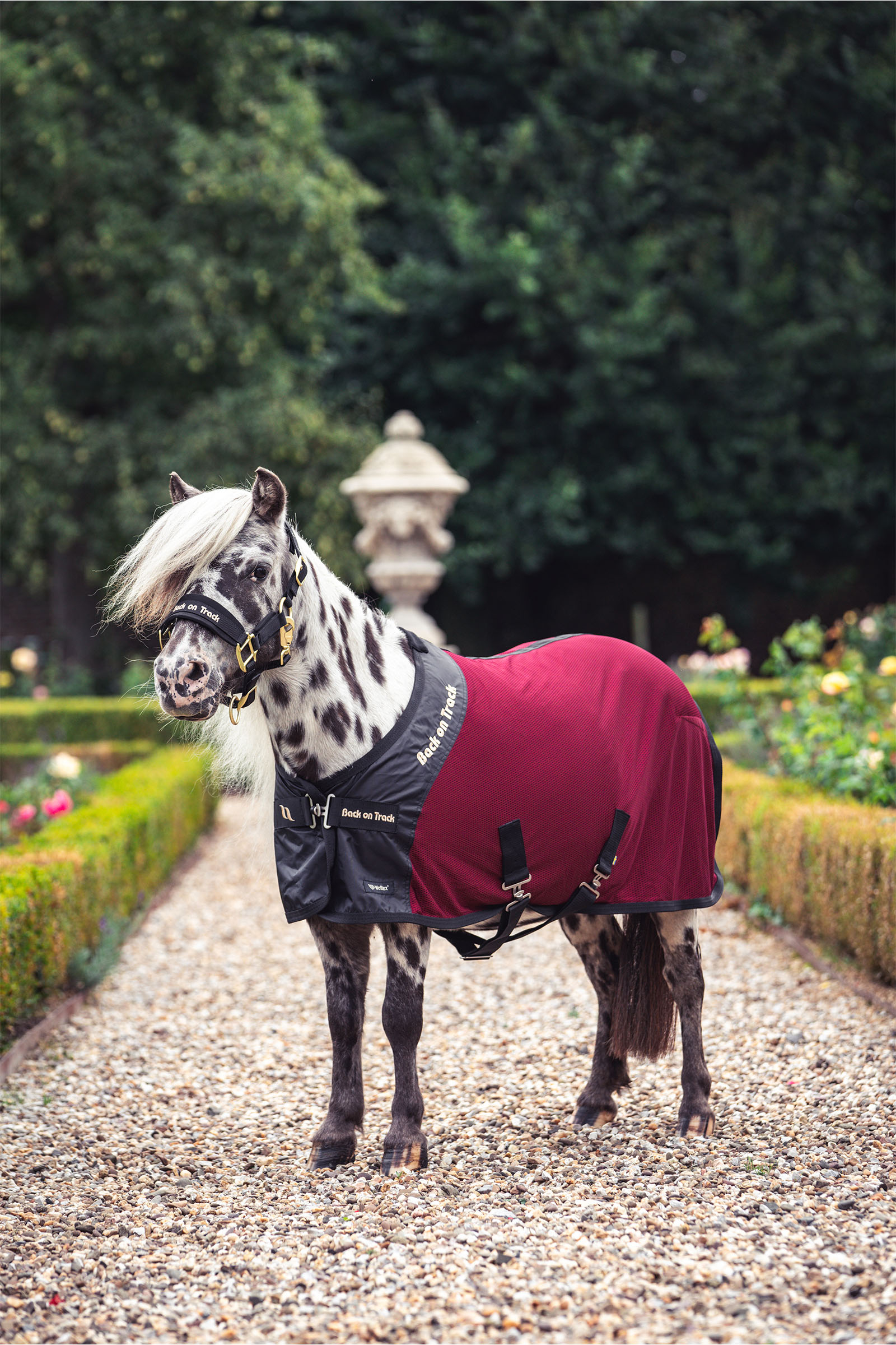 Back on Track Royal Pony Mesh Rug Deluxe