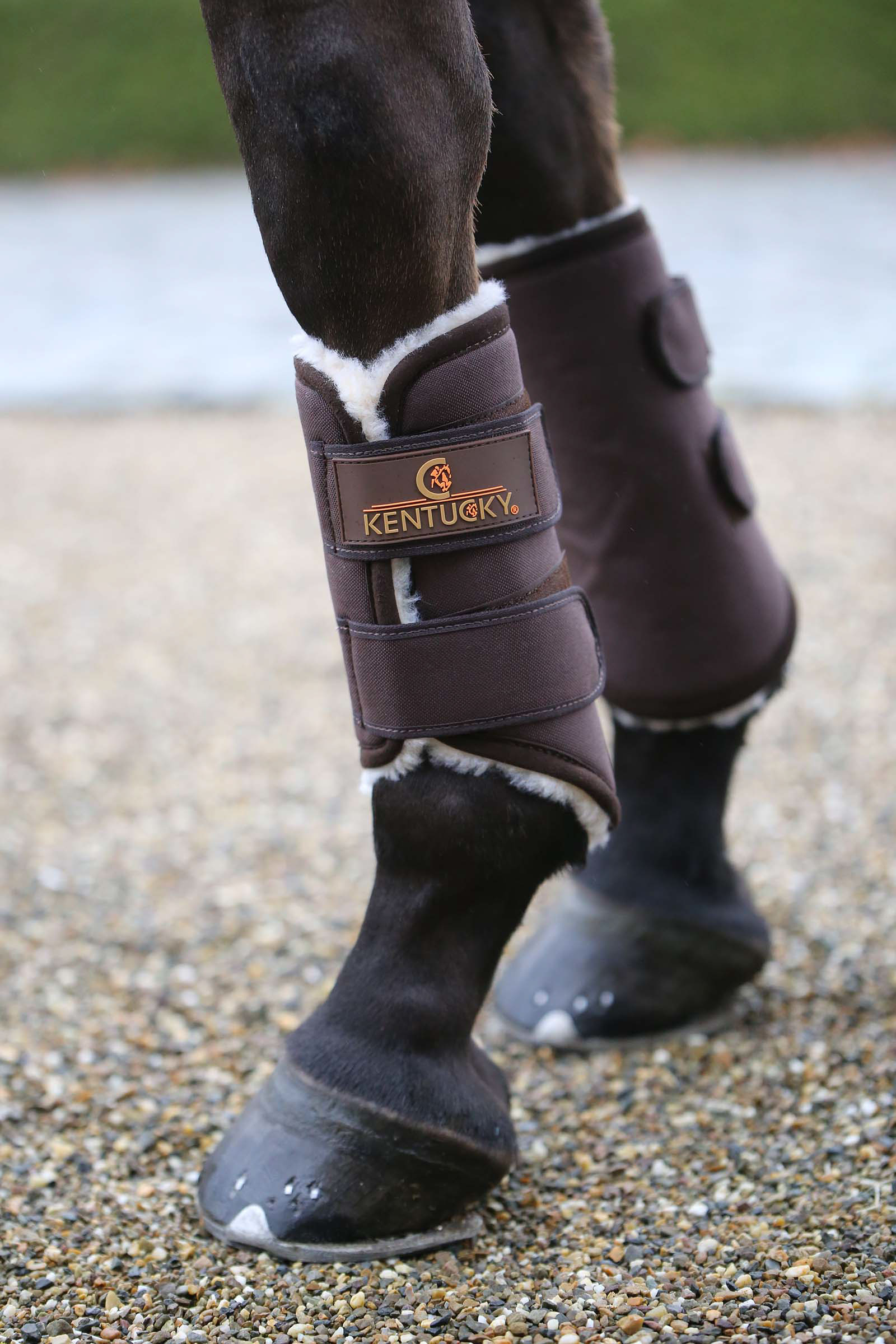 Brown Kentucky Horsewear Solimbra Turnout Boots, Hind