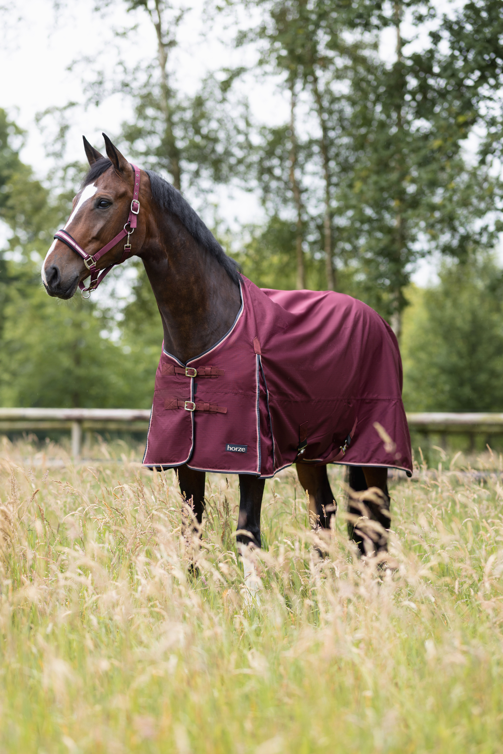 Burgundy Brown keeps you Nice and Dry