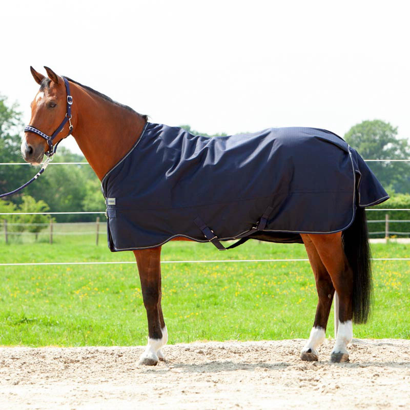 Kavalkade Montreal Turnout Rug, 100g