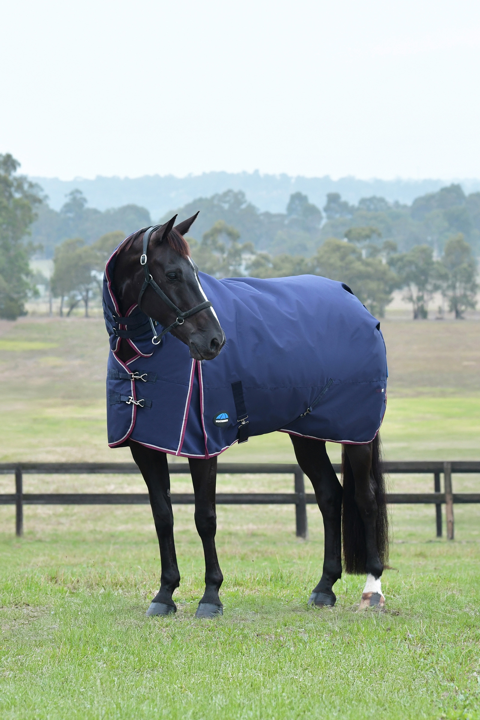 Weatherbeeta Comfitec Essential Turnout Rug With Fixed Neck, 220g
