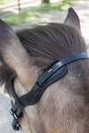 Waldhausen Anatomical Icelandic Bridle