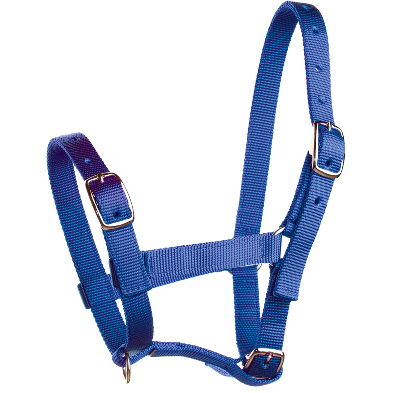 Horze Foal Halter