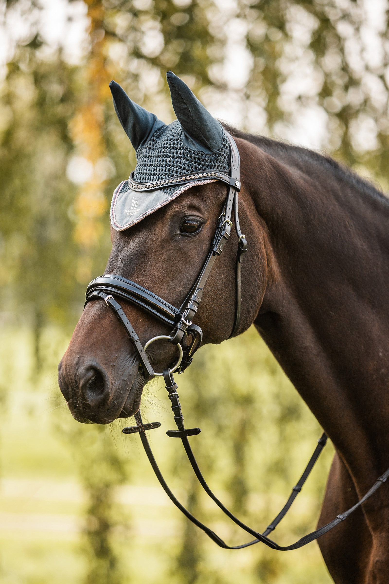 Horze Leighton Teens Collection Ear Net