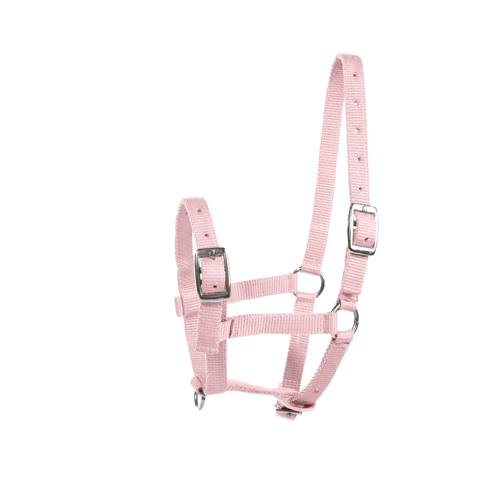 Pink Horze Foal Halter