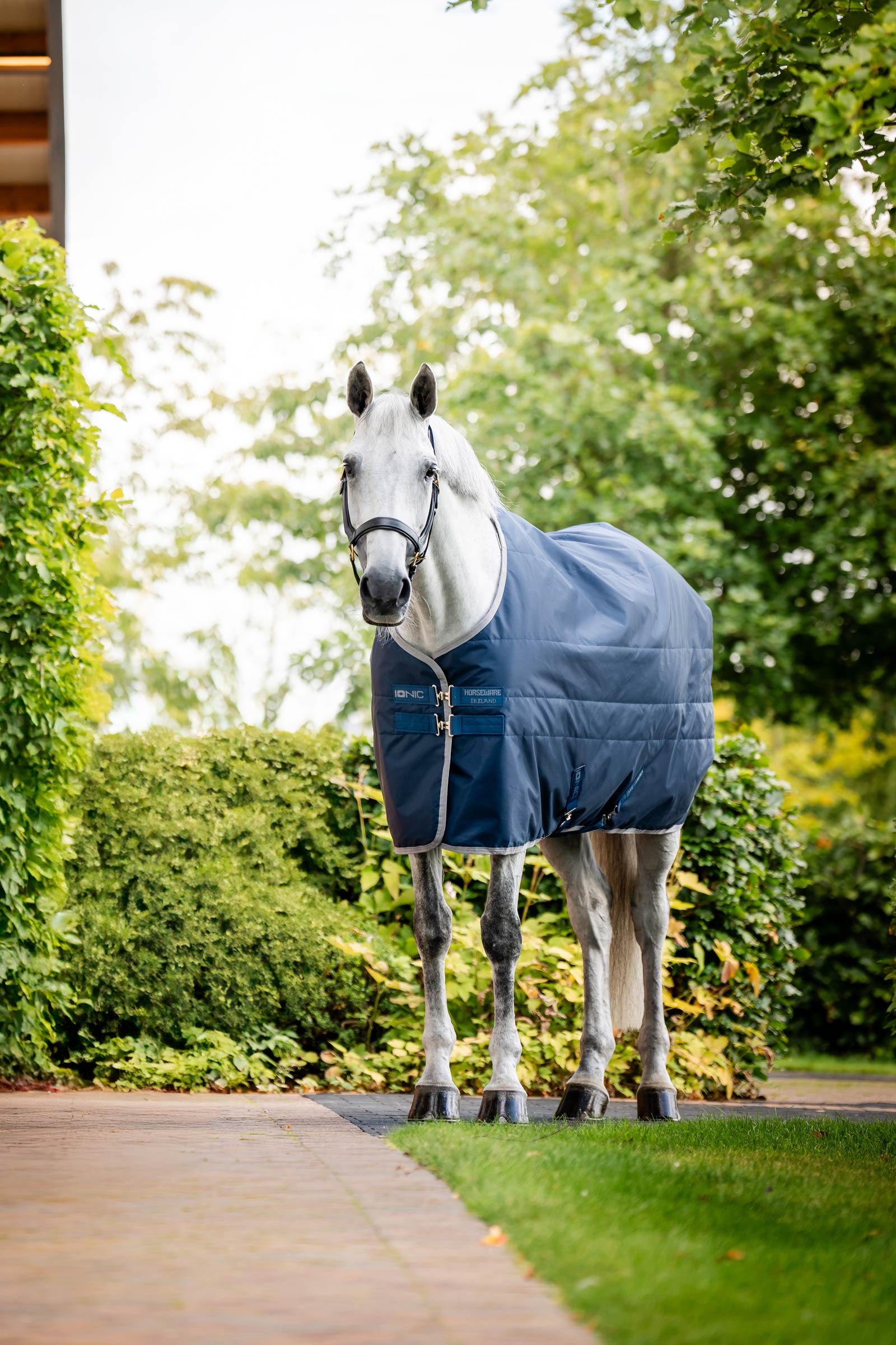 Horseware Ionic Therapy Stable Rug, 50g