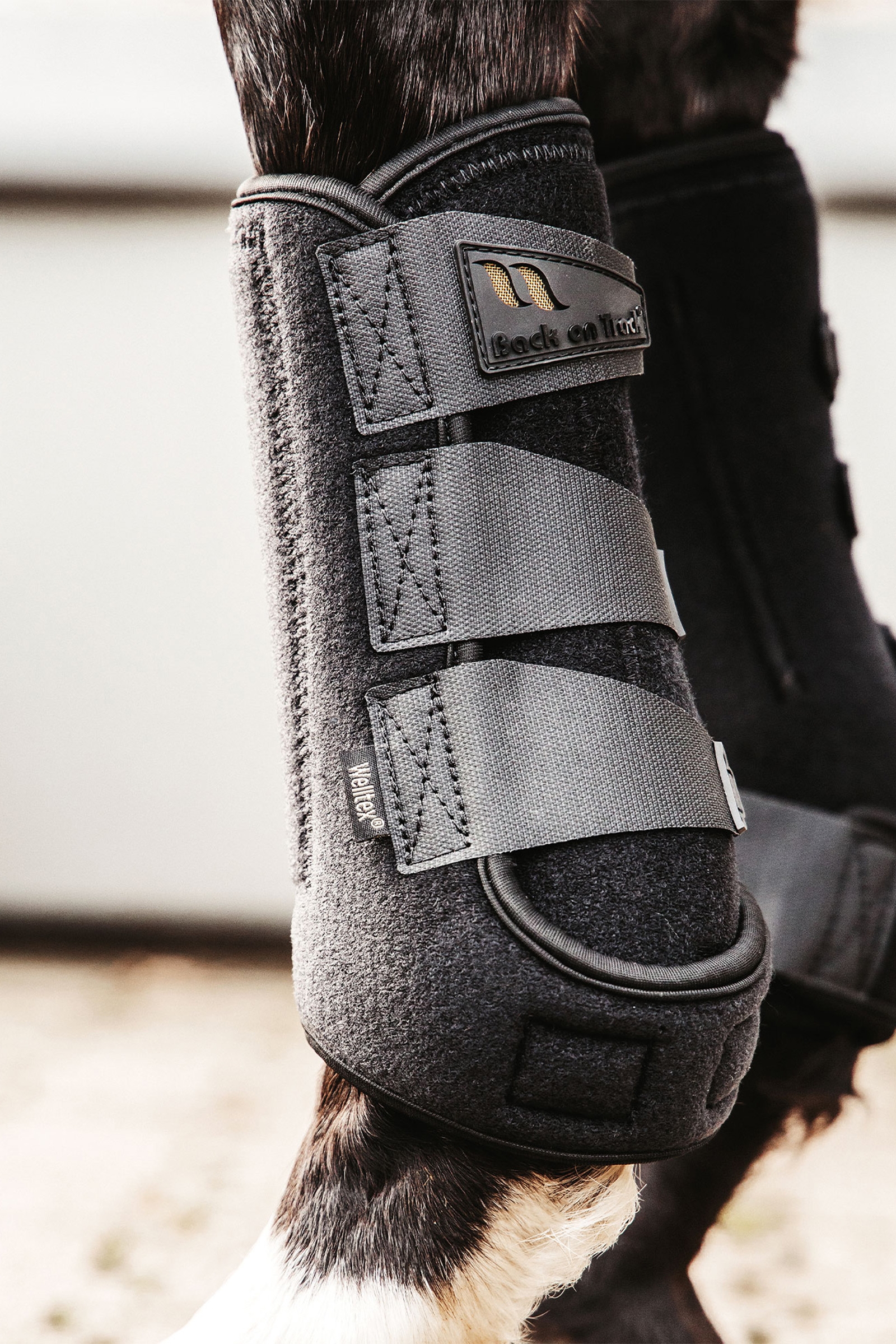 Back on Track Airflow Exercise Boots