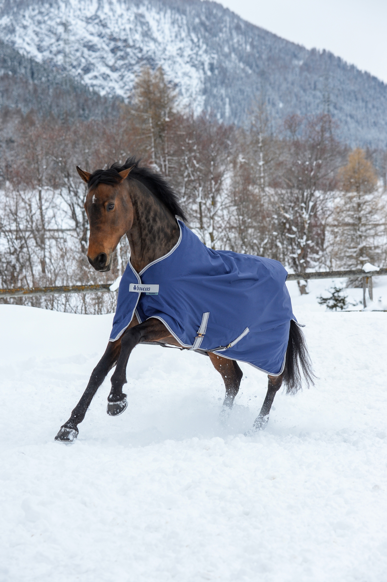 Bucas Freedom Turnout Rug, 300g