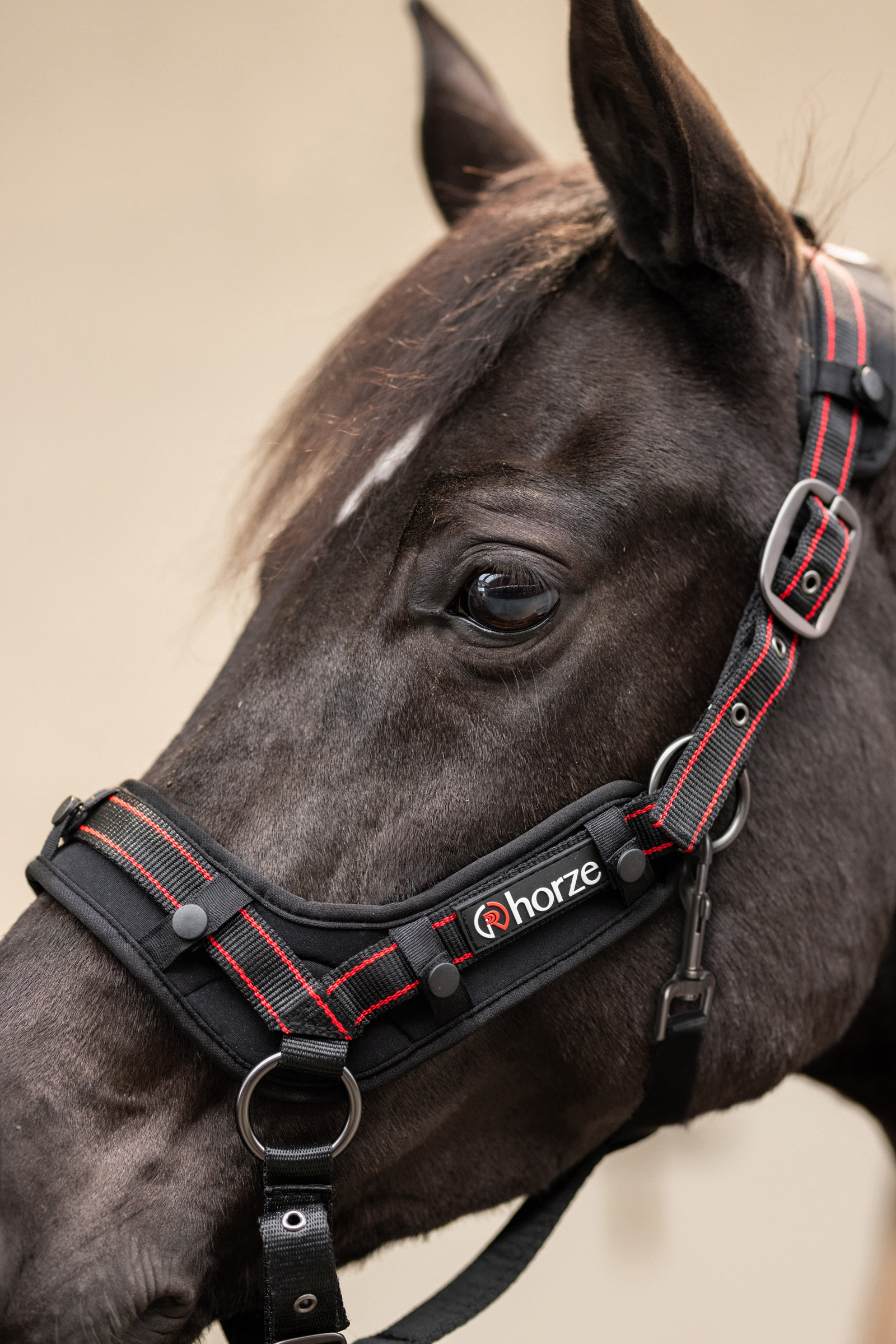 Horze Cairo Infra-red Halter