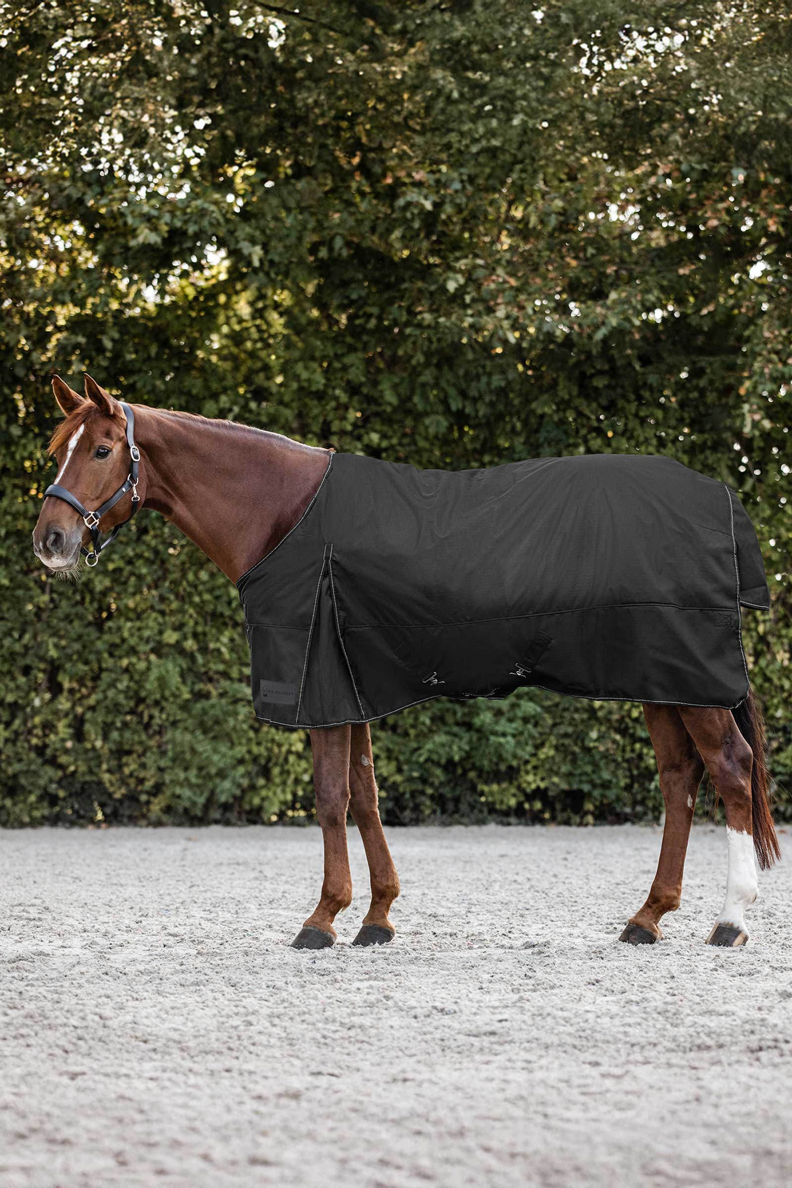black Waldhausen Nordic Turnout Rug, 200 g
