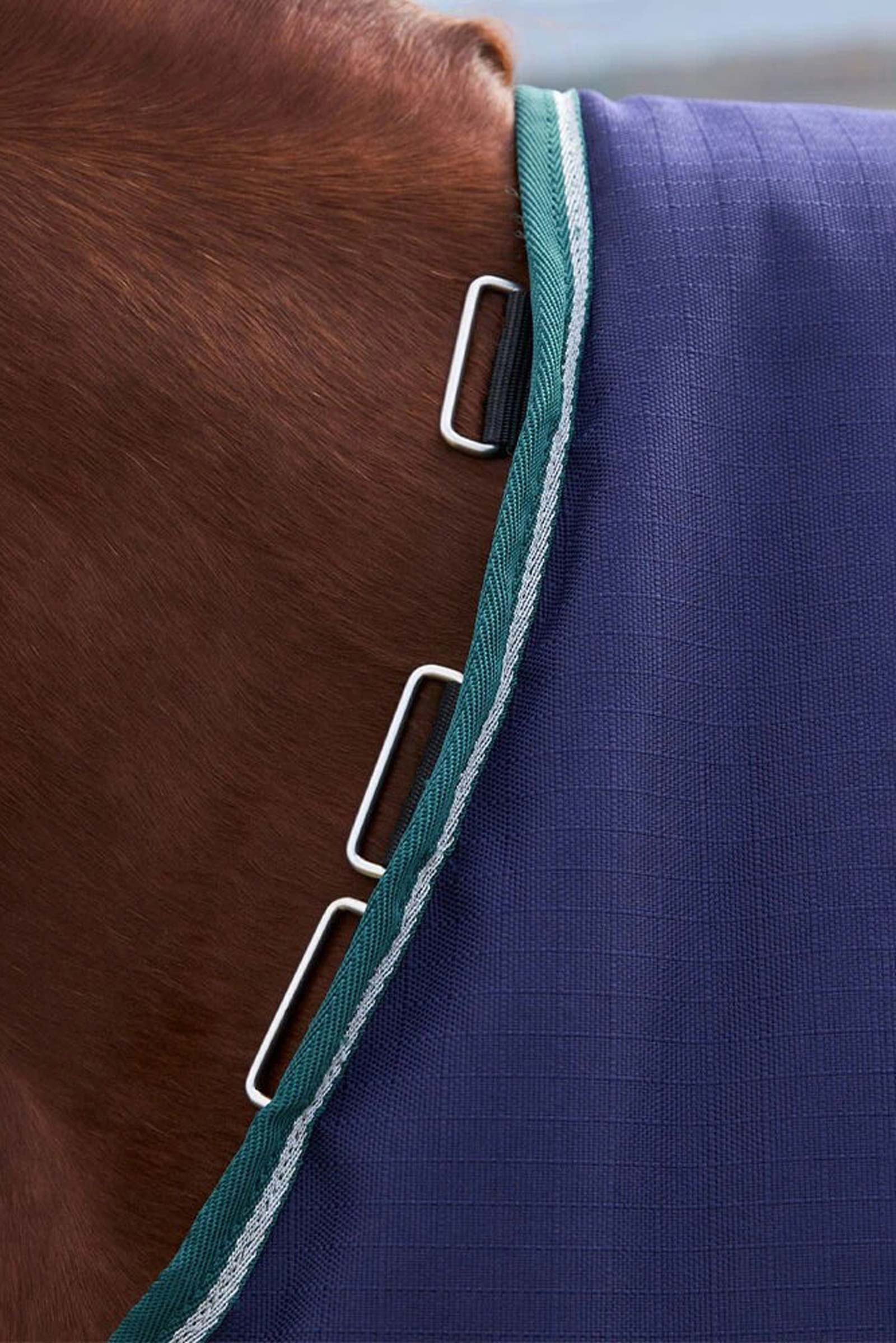 Weatherbeeta ComFiTecPlus Dynamic Turnout Rug, 0 g