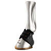 Zandona Carbon Air Strap  Heel