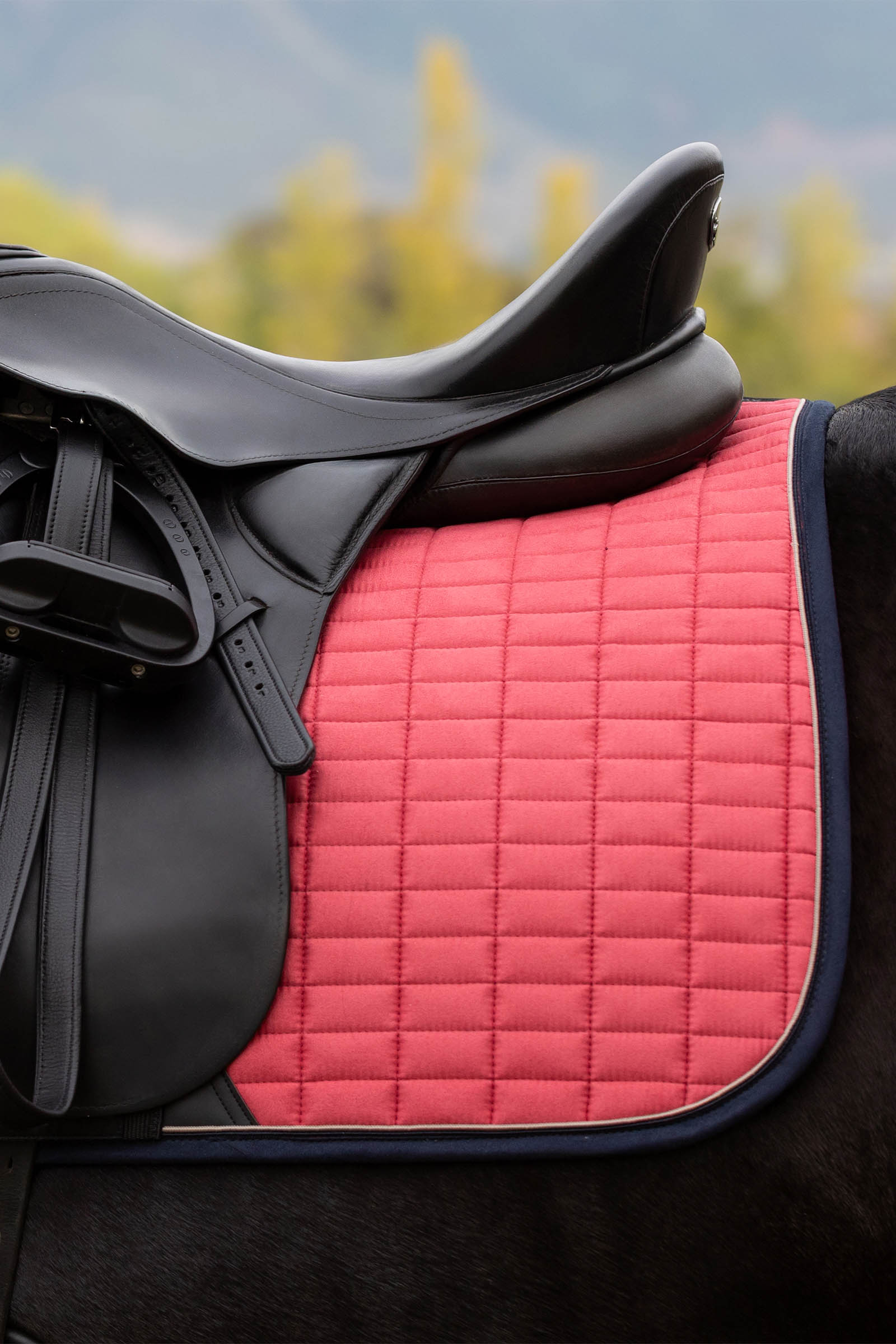 LeMieux Suede Square Dressage Saddle Pad