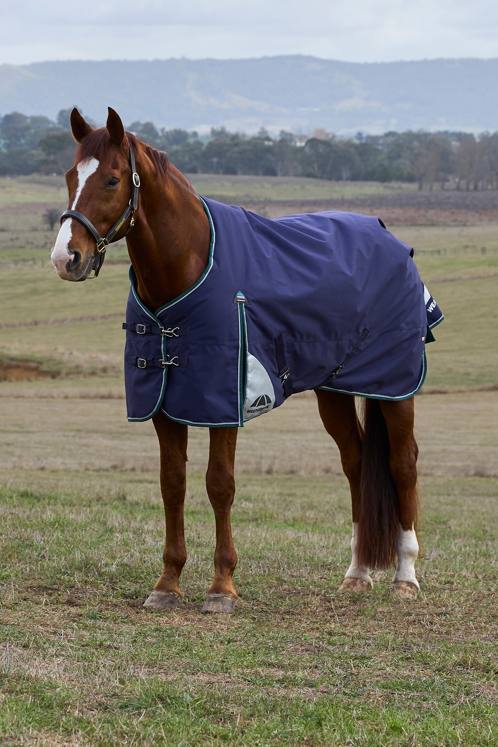 Weatherbeeta ComFiTecPlus Dynamic Turnout Detach-a-Neck, 100 g