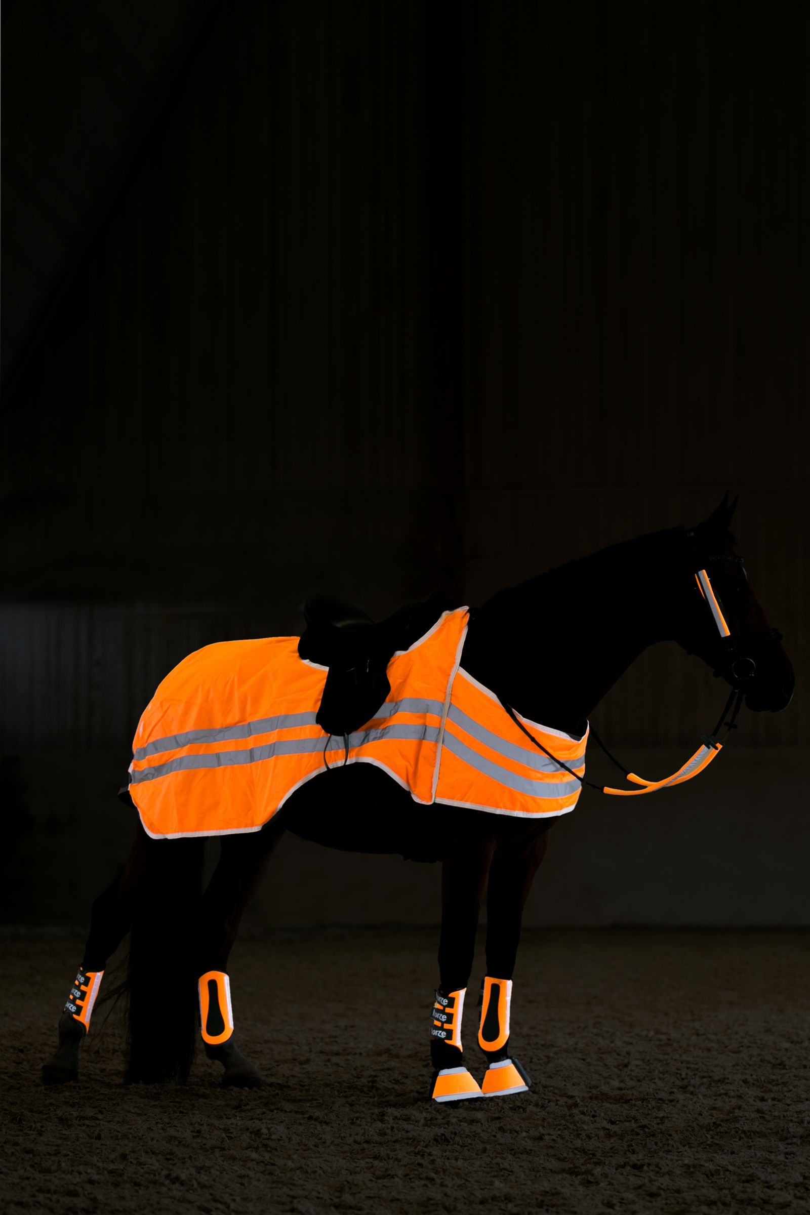 bZeen Reflective Riding Rug
