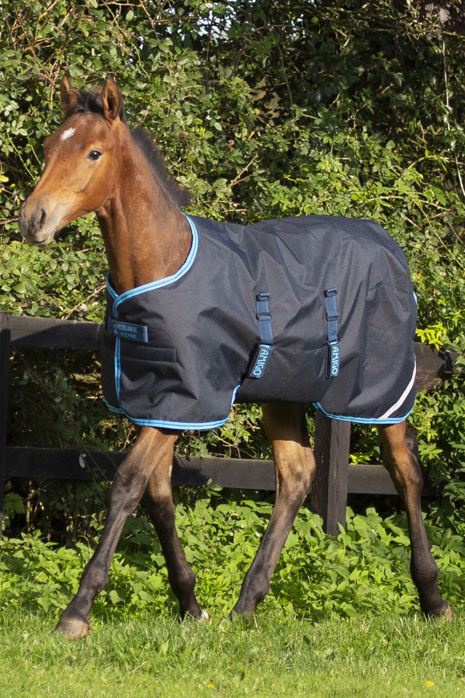 Horseware Amigo Ripstop Foal Rug, 200g