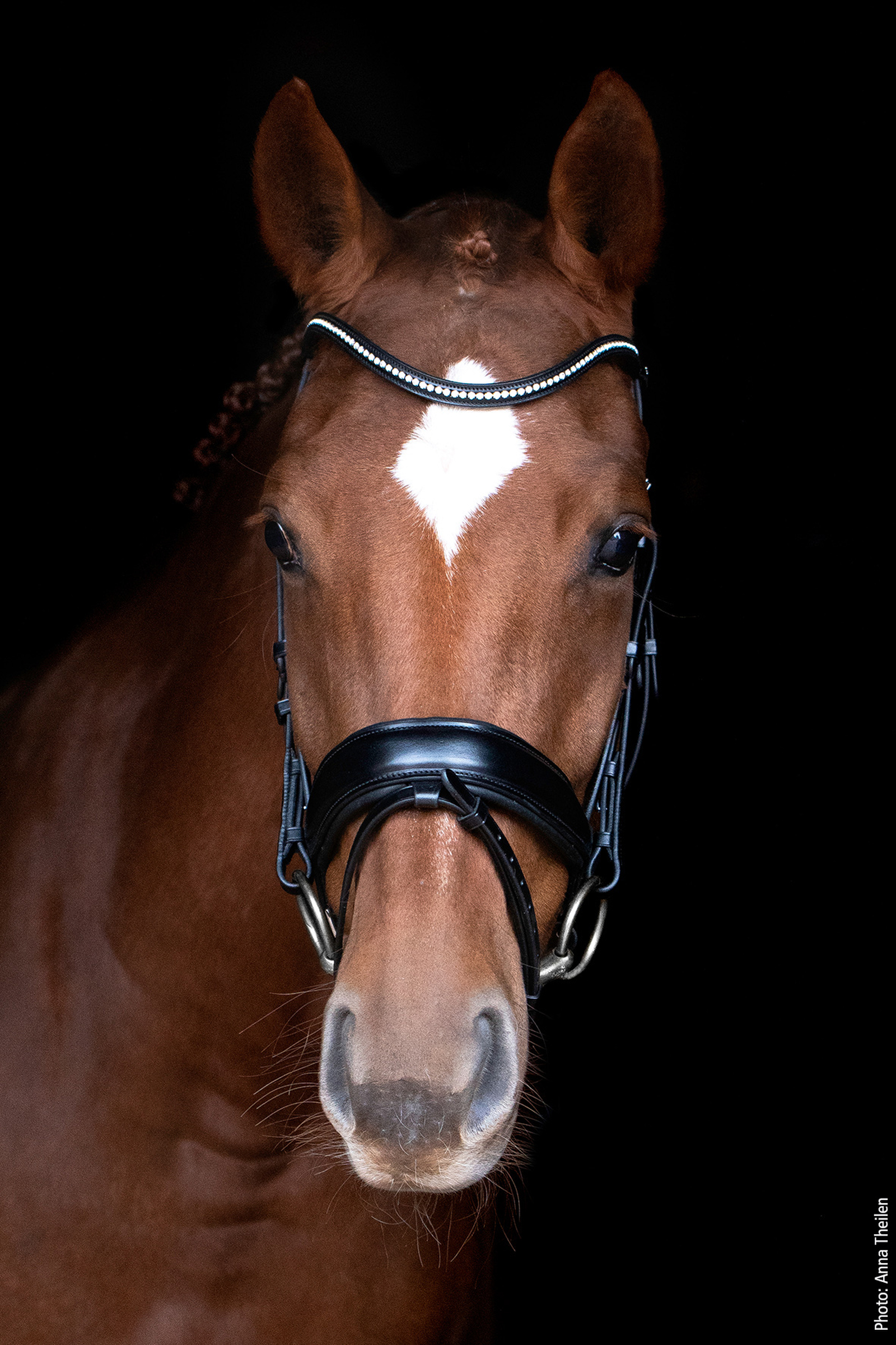 Black/Silver Schockem&ouml;hle Sports Stanford Anatomical Bridle