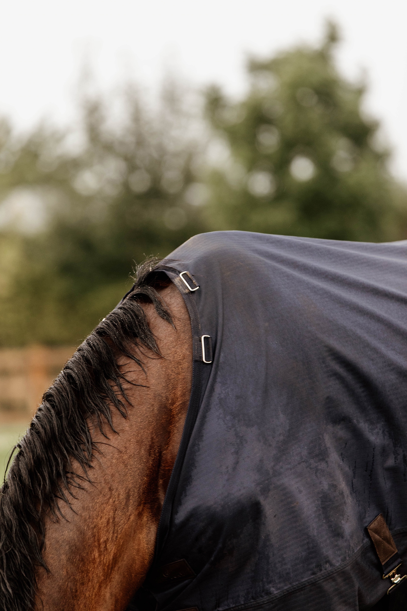 Kentucky Horsewear Turnout Rug All Weather, 300g