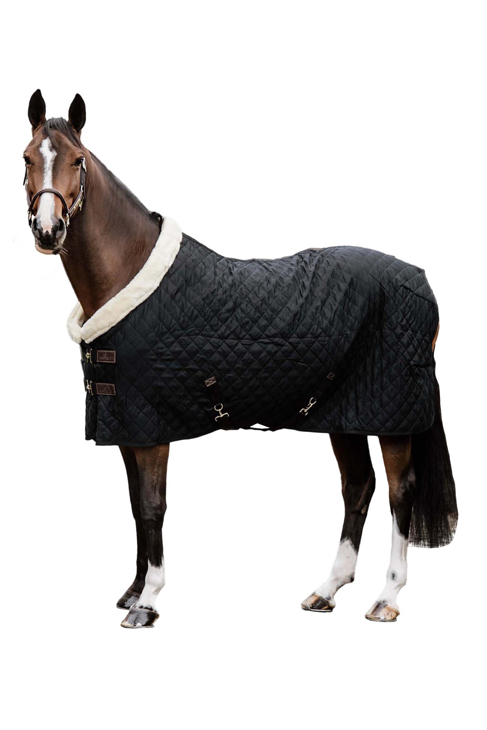 Kentucky Horsewear Show rug 160g