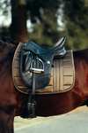 B Vertigo Drew Dressage Saddle Pad