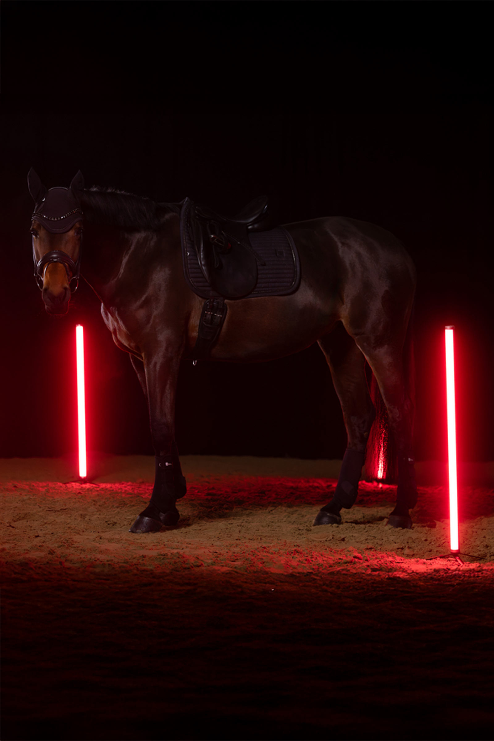 Eskadron Dynamics AW25 Sparkle Crystal Dressage Saddle Pad