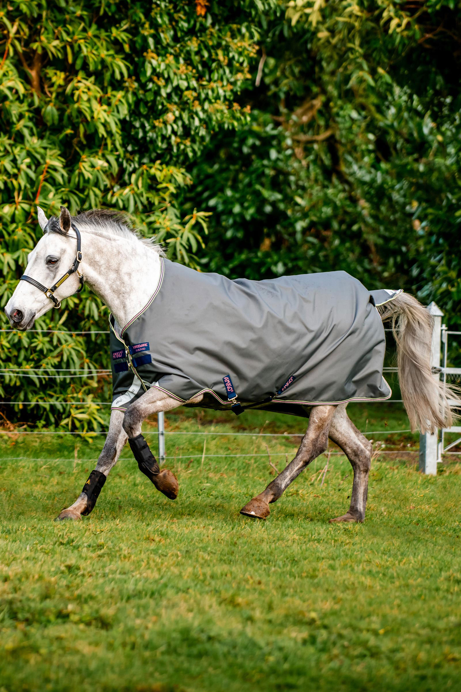 Horseware Amigo Bravo 12 Turnout Rug, 0g