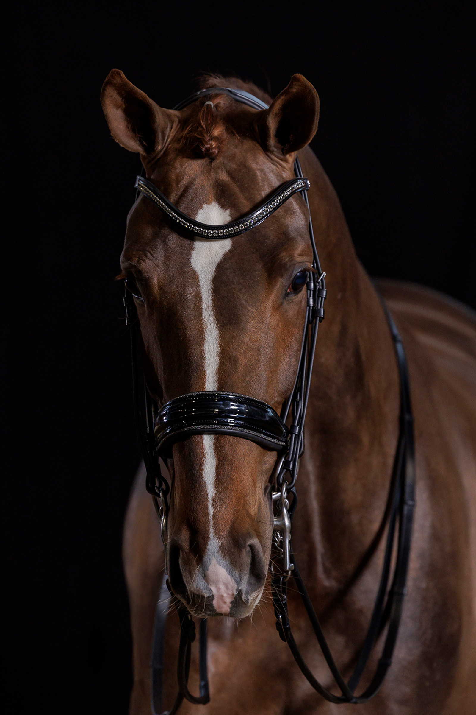 Schockem&ouml;hle Sports Milan Glam Double Bridle