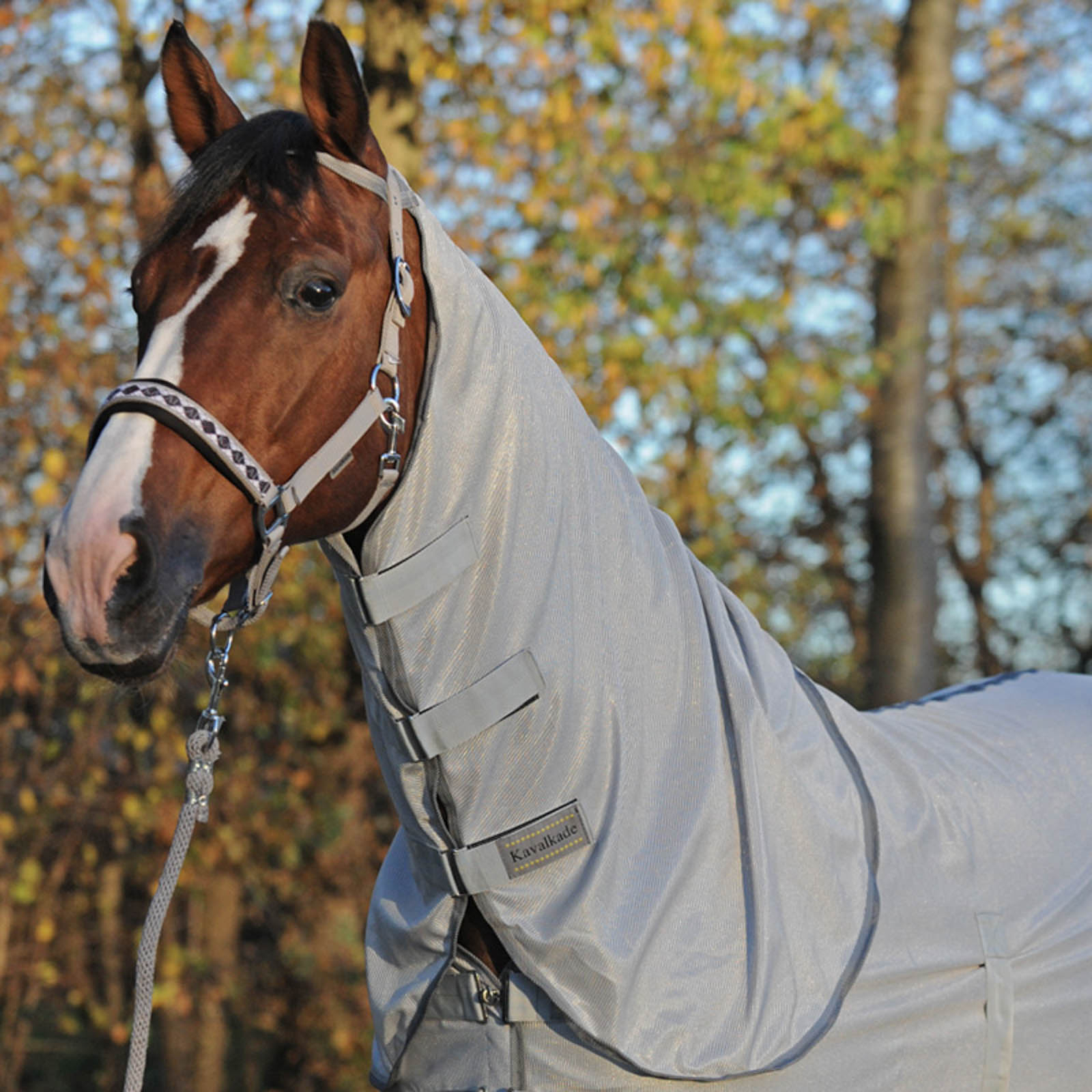 Kavalkade Fly Rug with Removable Neck