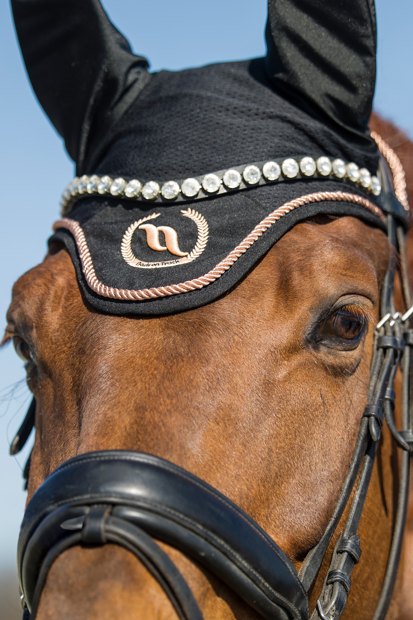 Back on Track Haze Collection Bonnet