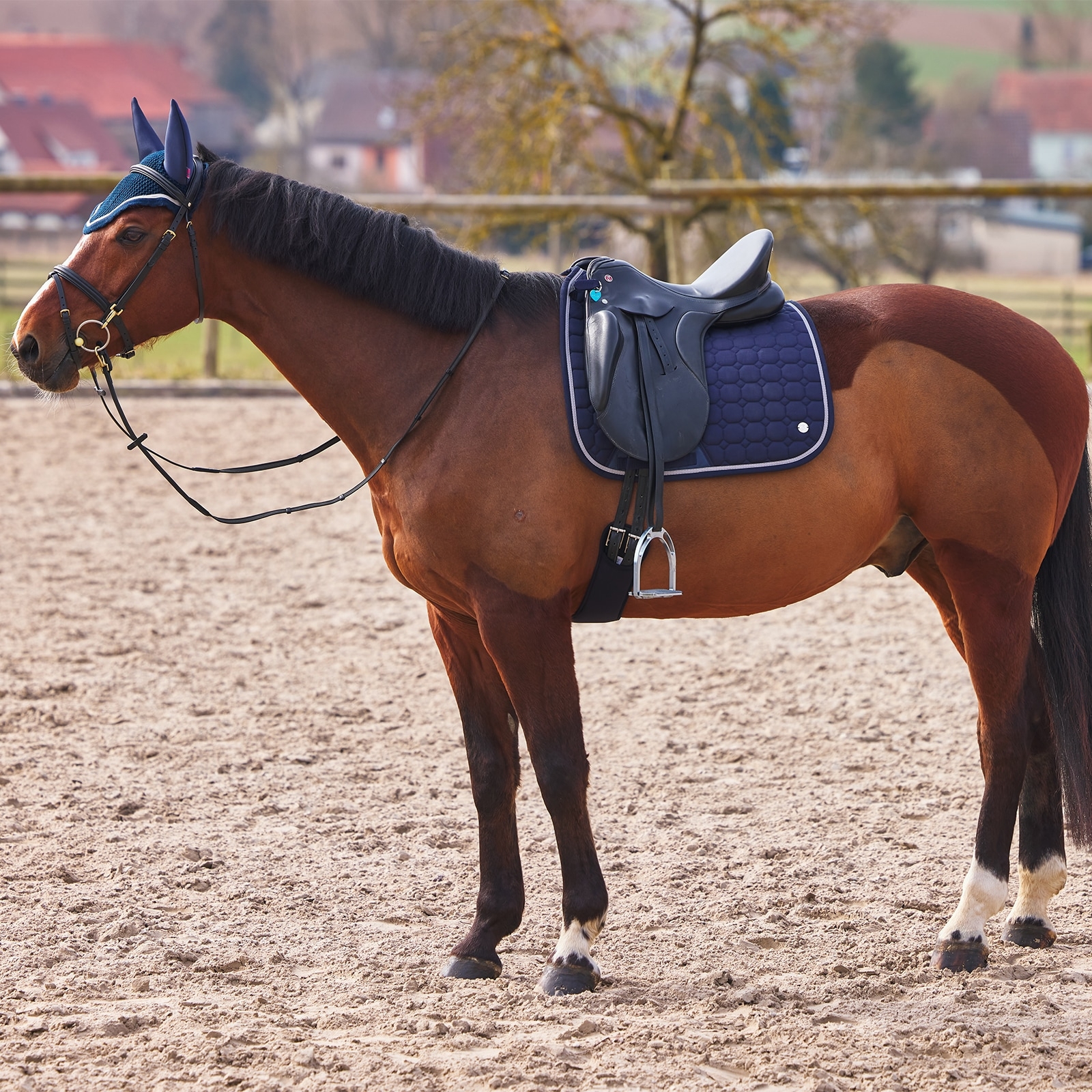 B Vertigo Zurich Dressage Saddle Pad